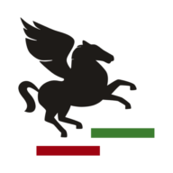 Logo Pegasus Kompetanse AS