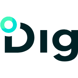 Logo Dig Security Solutions Ltd.