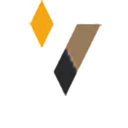 Logo Vox Valor Capital Ltd.