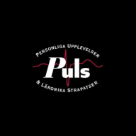 Logo Puls AB
