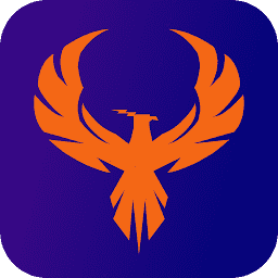 Logo Security Phoenix Ltd