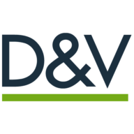 Logo D & V Serramenti Srl