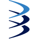Logo 3 Boomerang Capital LP