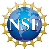 Logo The National Science Foundation