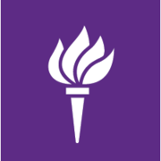 Logo New York University Tandon School of Engineering