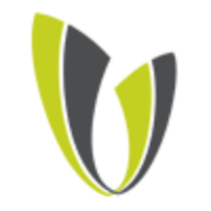 Logo CHF Development Finance International LLC