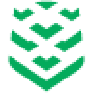 Logo Swarmer, Inc.