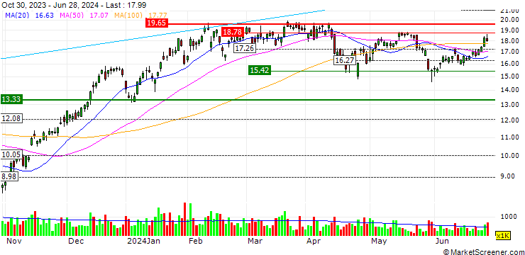 Chart Direxion Daily Dow Jones Internet Bull 3X Shares ETF - USD