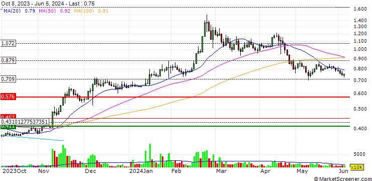 Chart Amer Group Holding Company S.A.E.